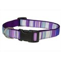 Fly Free Zone,Inc. STRIPE-PURPLE-MULTI3-C Stripe Dog Collar; Purple - Medium FL17732
